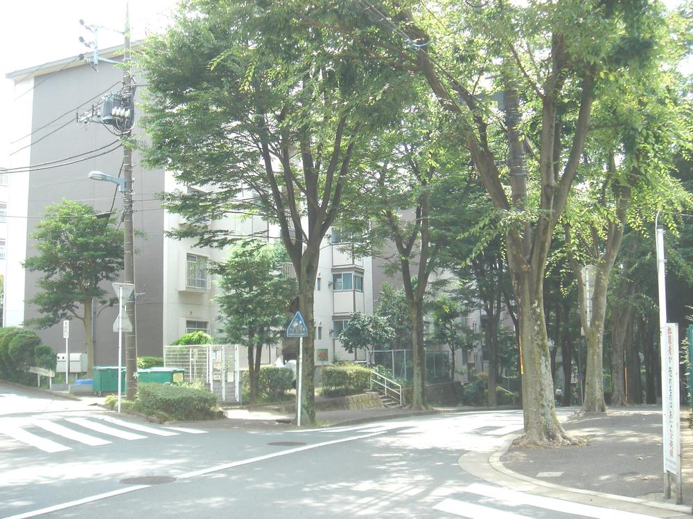 Other. Bus street