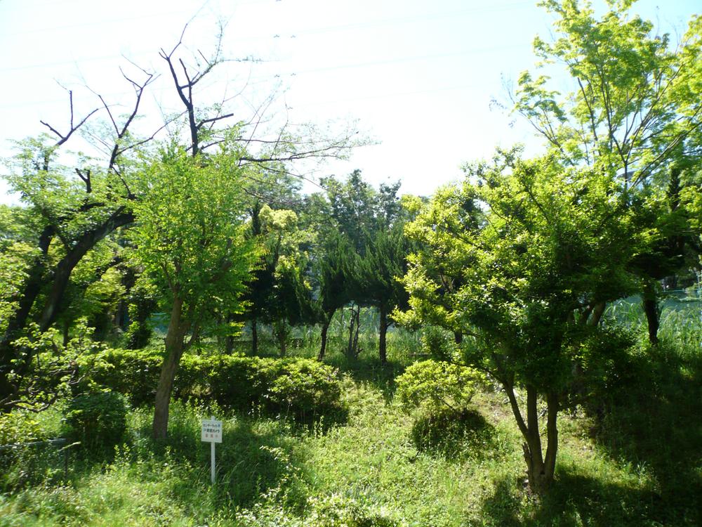 View photos from the dwelling unit. Private garden view