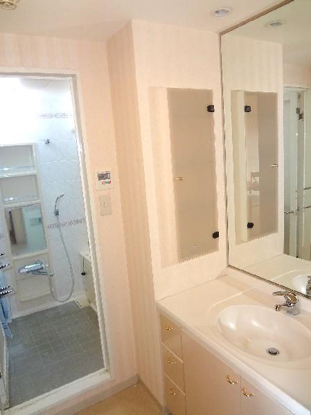 Wash basin, toilet. It is the vanity of one mirror.