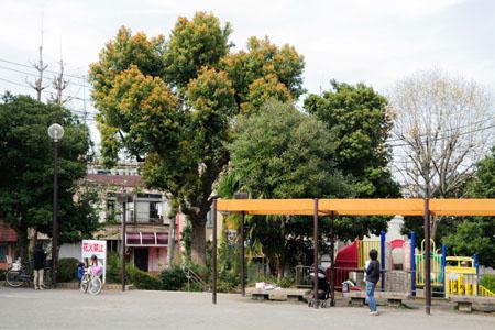 park. 573m to Miyazaki second park