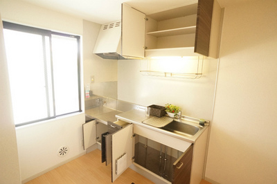 Kitchen. Model room specification of the room (furniture accessories is not in the equipment)