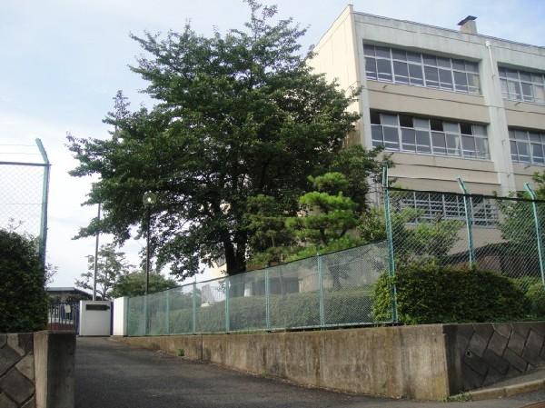 Primary school. Flat until the elementary school 720m