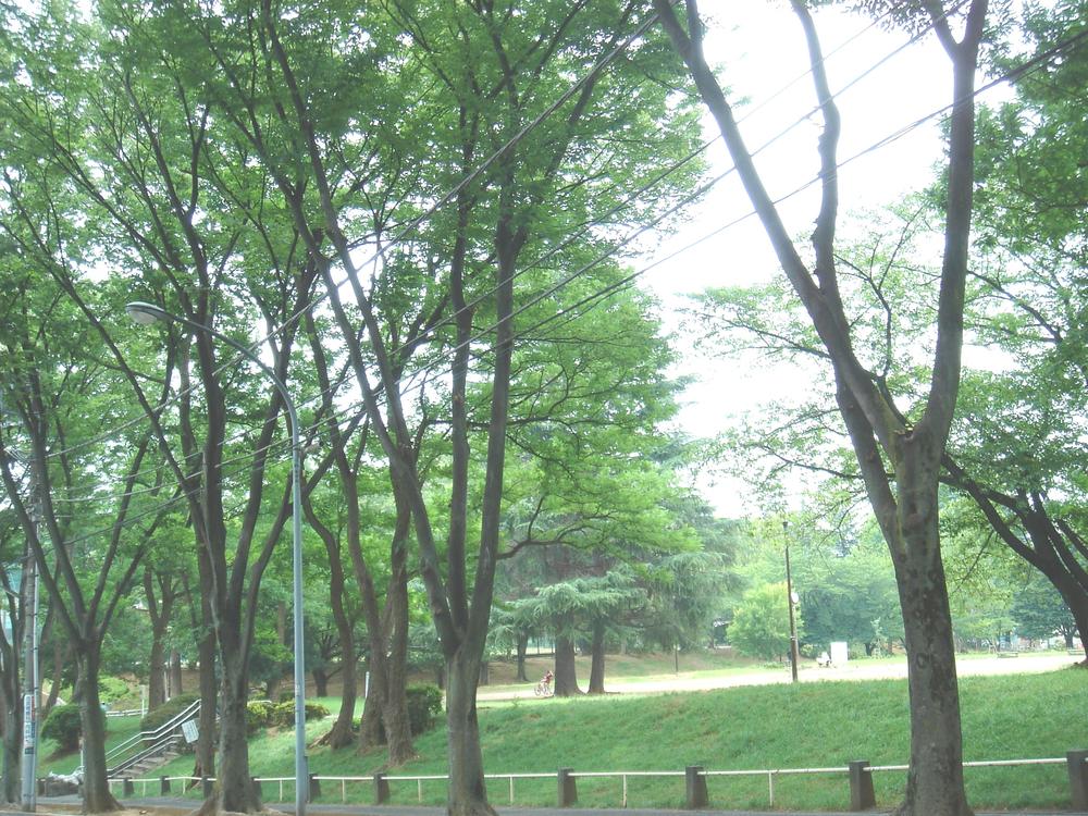Other. Utsukushigaoka park