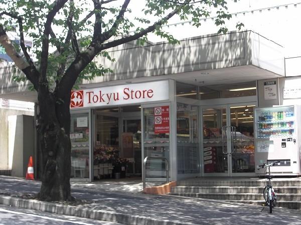 Supermarket. Miyazakidai 100m to Tokyu Store Chain