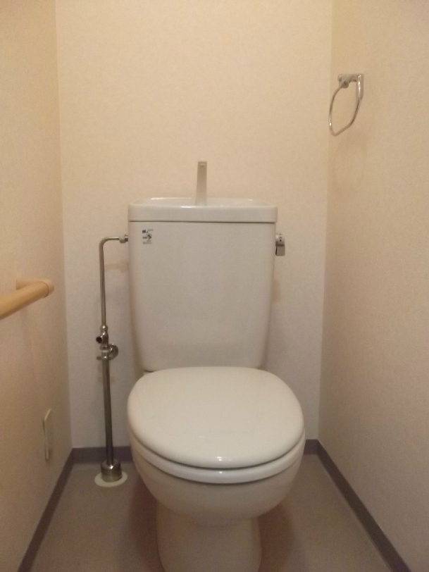 Other. Toilet