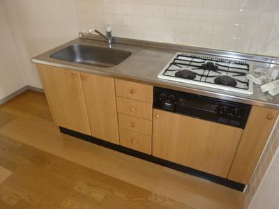 Kitchen. Dishes like the wife must see! System kitchen with a grill