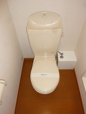 Toilet.  ※ A separate room is a reference photograph