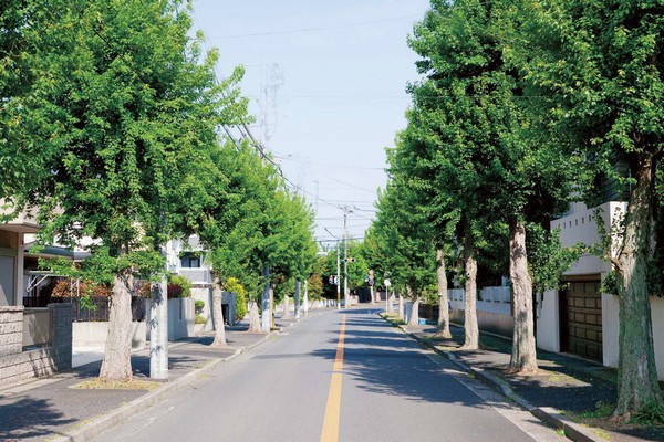 Other. Local neighborhood of streets (2-minute walk ・ About than local 100m)