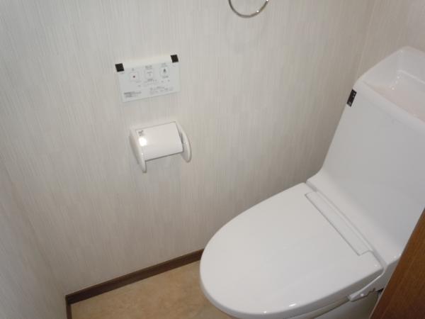 Toilet. 2013 / 12 shooting: toilet