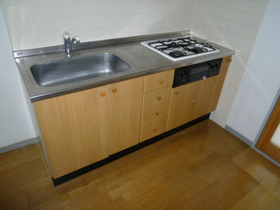Kitchen. Dishes like the wife must see! System kitchen with a grill