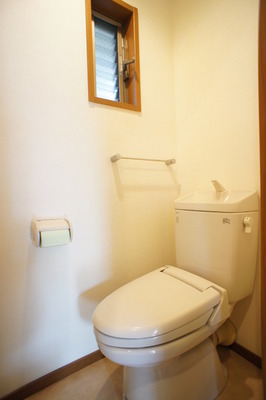 Toilet. Multi-function toilet seat offers a basis to installation. Released from the cold winter toilet seat
