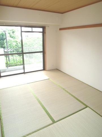 Other room space. Is a tatami room