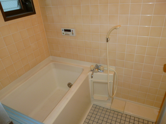 Bath. Windowed bathroom Stain-resistant tile unit