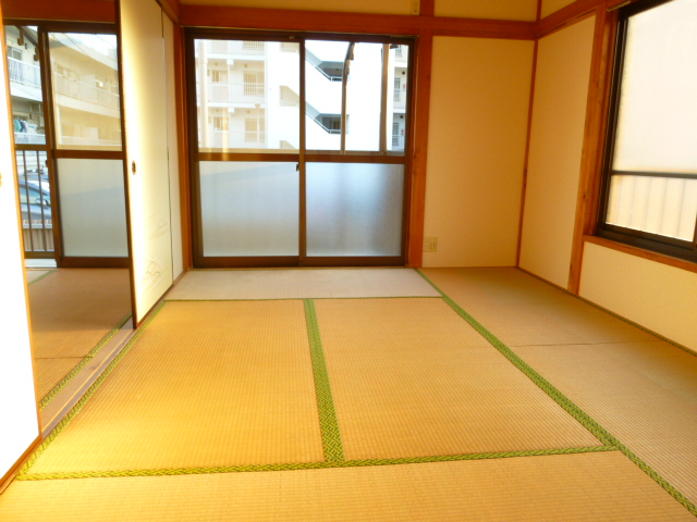 Living and room. Continuation of the Japanese-style room