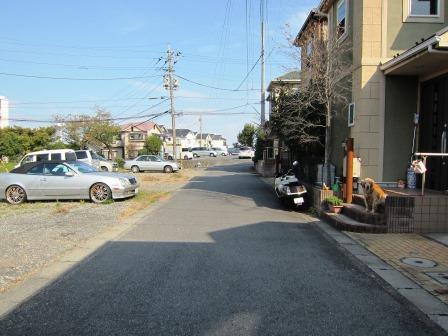 Local photos, including front road