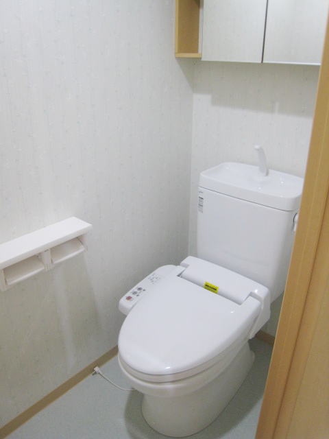 Toilet. Same floor plan, It is a photograph of another room. 