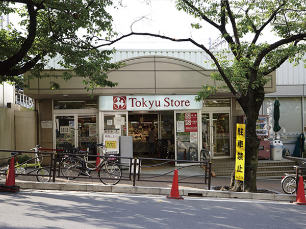Other. Miyazakidai Tokyu Store Chain (about 350m)