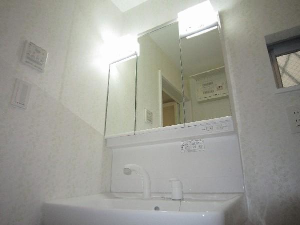 Wash basin, toilet. Wide type of basin dresser