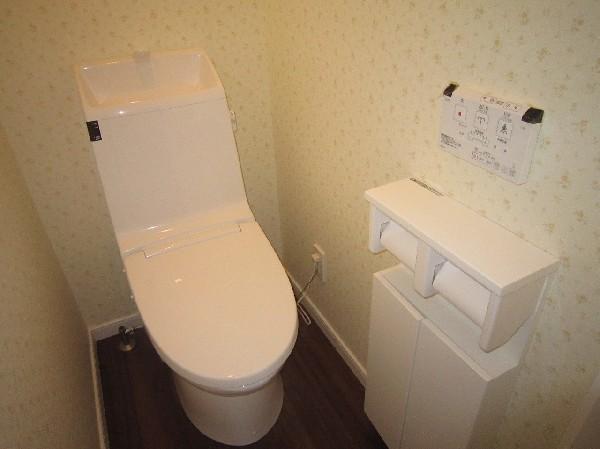 Toilet. Bidet with toilet