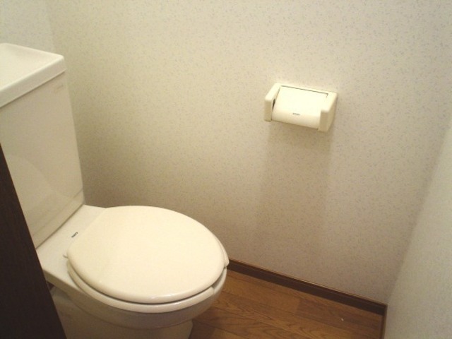 Toilet. It is a Western-style toilet with cleanliness