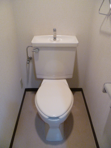 Other. Toilet