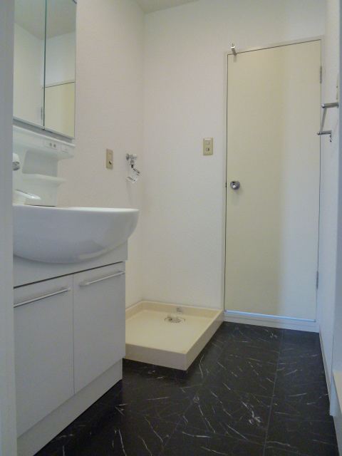Washroom. Also renewed washroom with a black stone eyes style flooring!