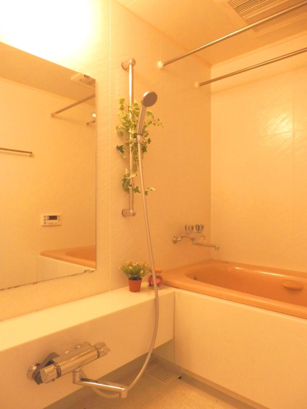 Bathroom. Bathroom faucet fixtures mirror, Shower head new Exchange already