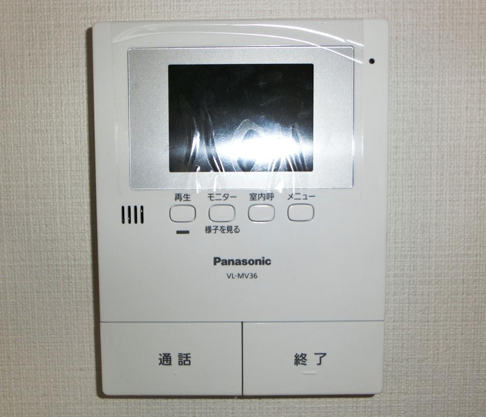 Security equipment. TV monitor with intercom