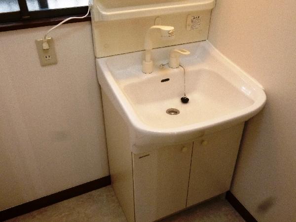 Wash basin, toilet. Bathroom vanity