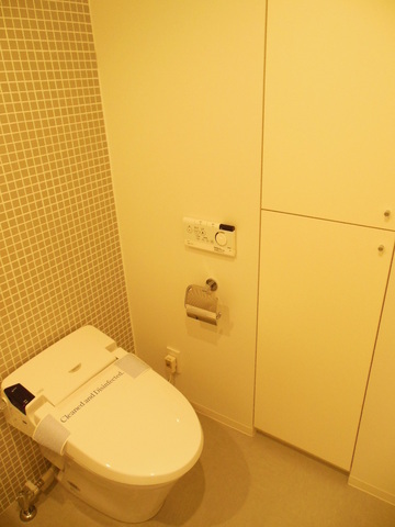 Toilet. Toilet (separate room photo)