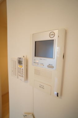 Security. Monitor with intercom