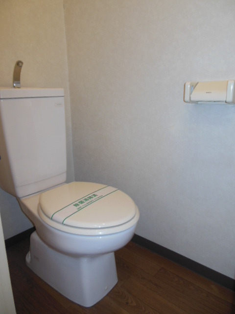 Toilet. Clean toilet