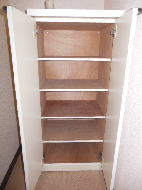 Receipt. Shoes BOX