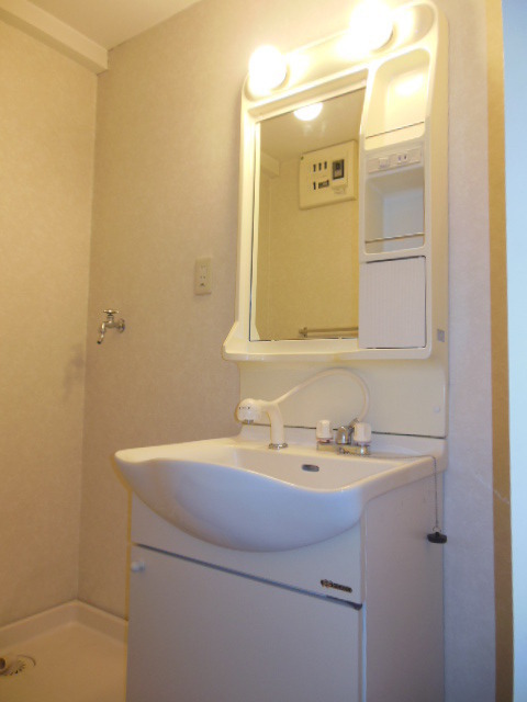 Washroom. With handheld shower independent wash basin