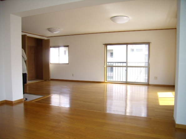 Living and room. Other, Room photo