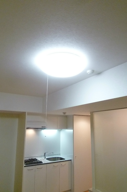 Living and room. With lighting