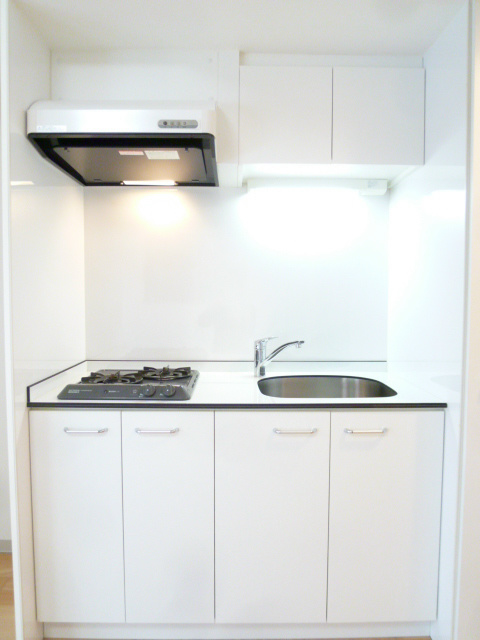 Kitchen. Stylish and easy-to-use kitchen