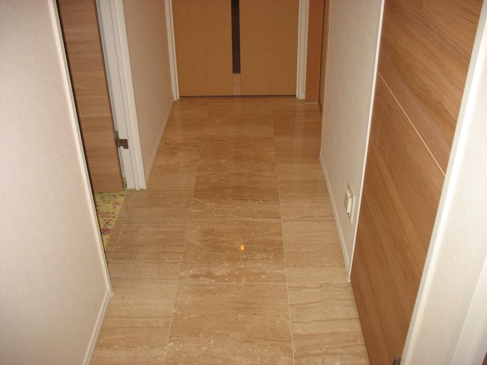 Other. Natural stone stuck in the corridor