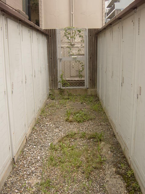 Other common areas. trunk room