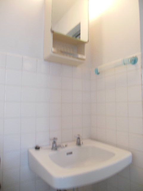 Washroom. Wash basin