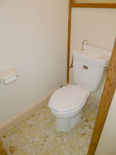 Toilet