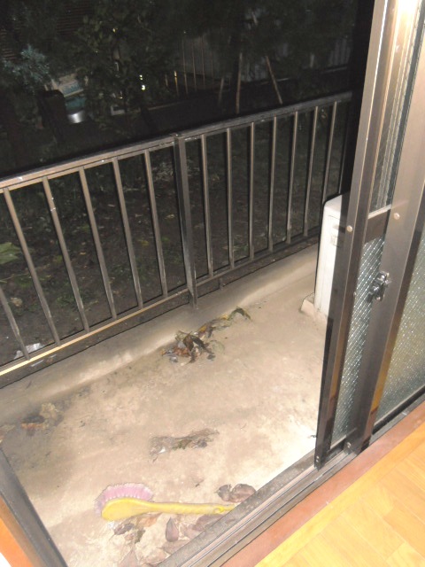 Balcony