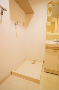 Washroom. Washing machine in the room