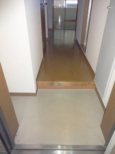 Entrance. Plenty of shoes BOX