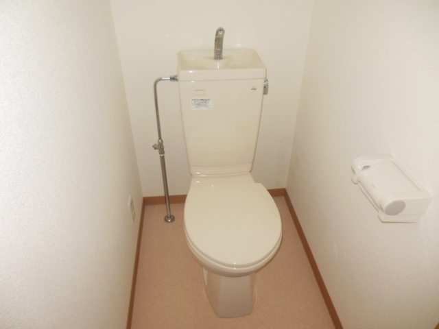 Toilet. Clean toilet