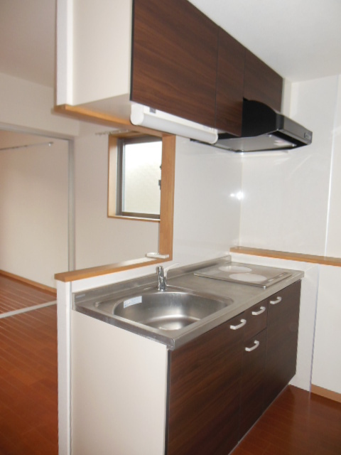 Kitchen. 2-neck IH system kitchen