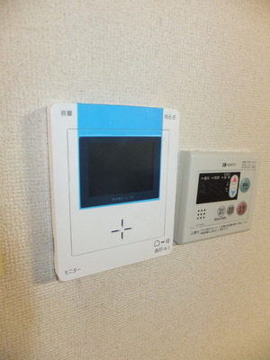 Security. Monitor with intercom