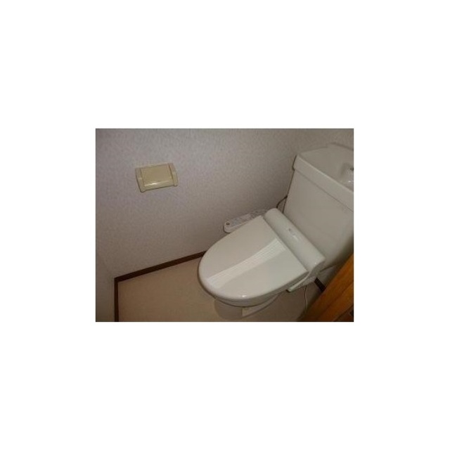 Toilet. It will be with warm water washing toilet seat