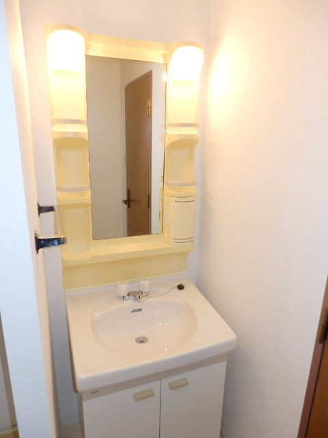 Washroom. Happy independence wash basin in women