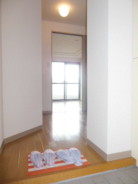 Entrance. Entrance space